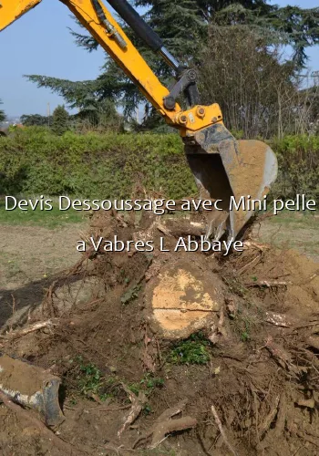 Devis Dessoussage avec Mini pelle a Vabres L Abbaye