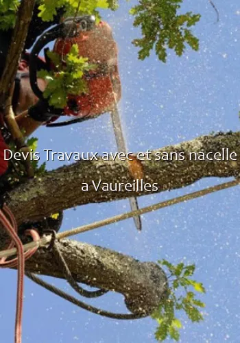 Devis Travaux avec et sans nacelle a Vaureilles