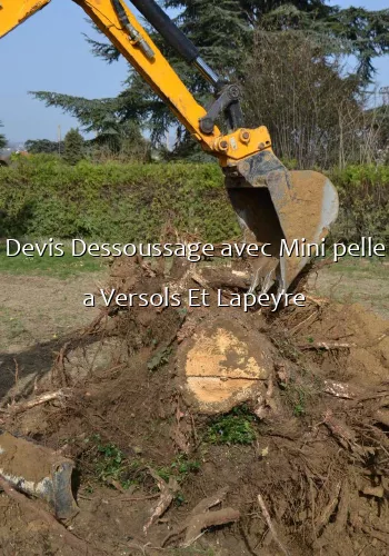 Devis Dessoussage avec Mini pelle a Versols Et Lapeyre