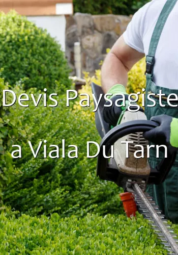 Devis Paysagiste a Viala Du Tarn