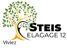 elagueur-steis-elagage