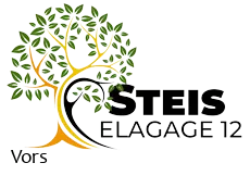 elagueur-steis-elagage