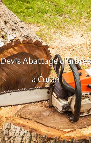 Devis Abattage d'arbres a Curan