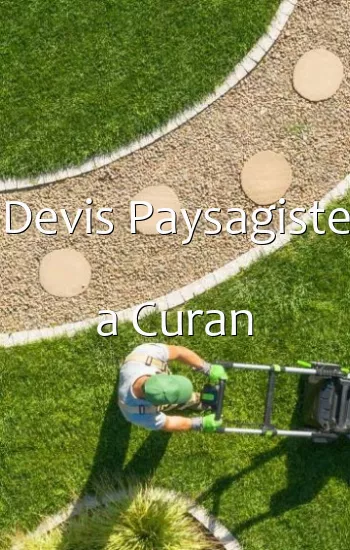 Devis Paysagiste a Curan