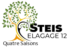 elagueur-steis-elagage