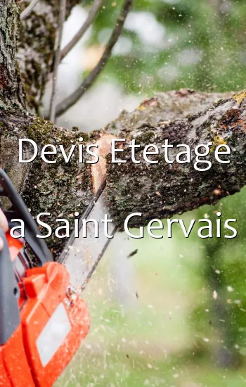 Devis Etetage a Saint Gervais