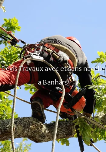 Devis Travaux avec et sans nacelle a Banhars