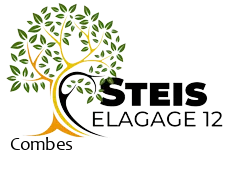 elagueur-steis-elagage