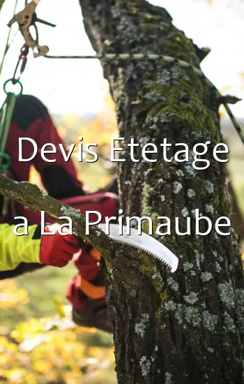 Devis Etetage a La Primaube